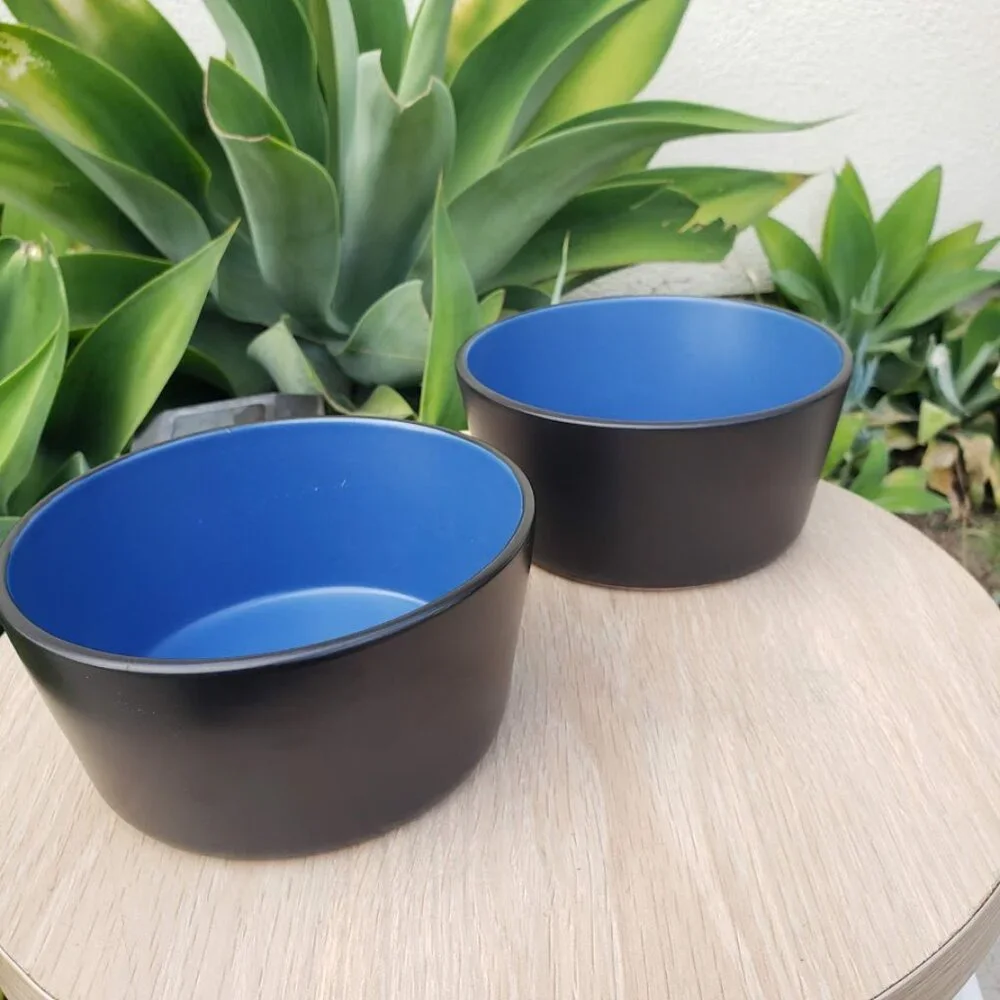 NEW Stone Lain 2 Bowls Stoneware Dinnerware Set Blue and Black Dishwasher and Mi